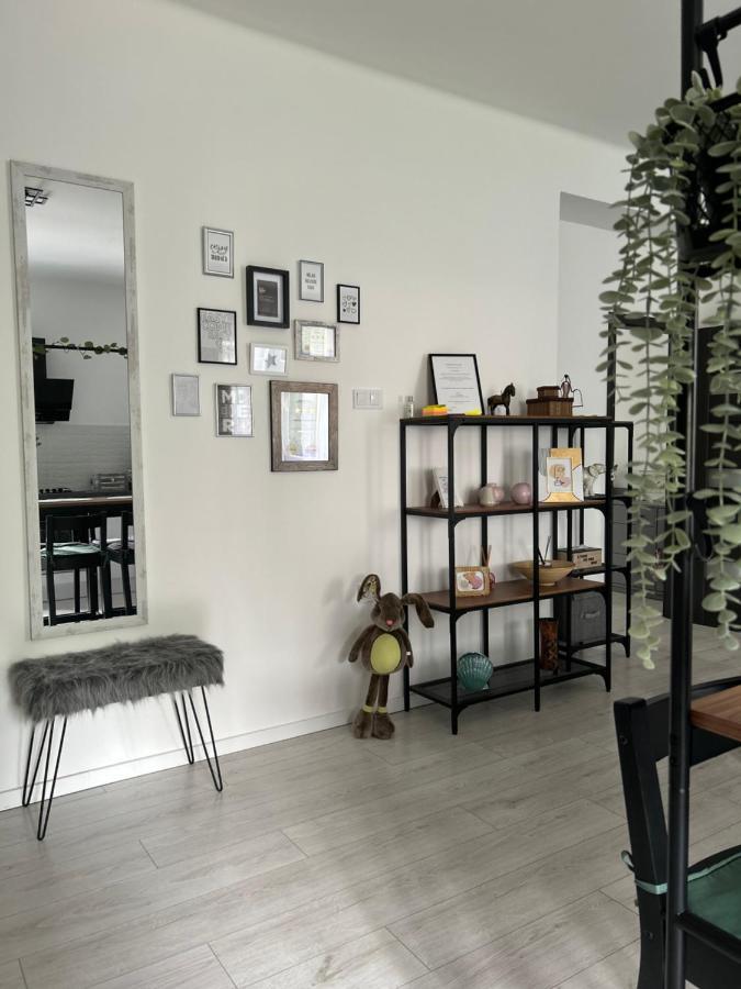 Sophie'S Urban Nest Apartment Miskolc Exterior photo